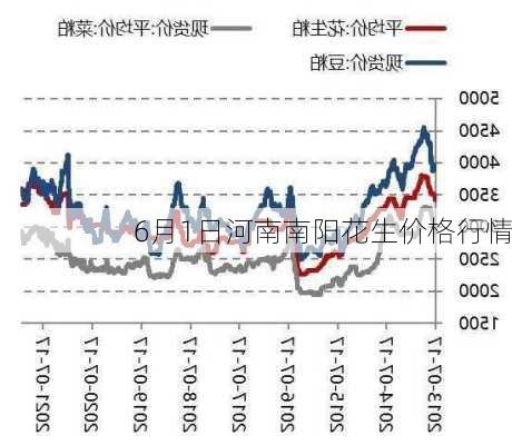 南阳花生价格行情最新分析