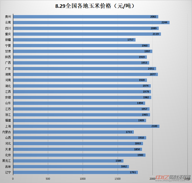 今日玉米价格走势分析，最新动态与趋势展望