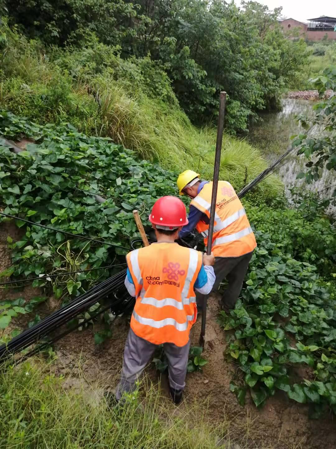 泸州地震今日最新消息与背景分析