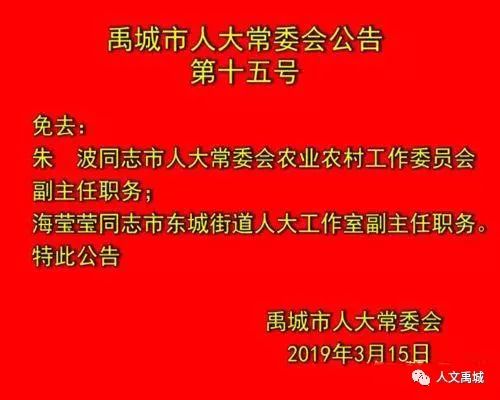 企业最新人事调整，变革动力与未来展望