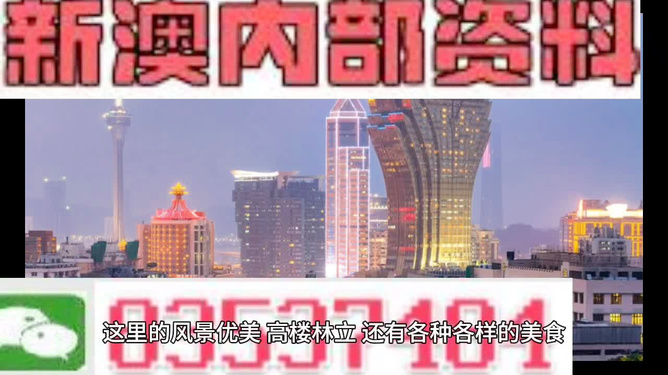 2024新澳免费资科大全,调整细节执行方案_mShop79.151