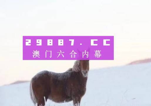 494949澳门今晚开什么,正确解答落实_Q91.635