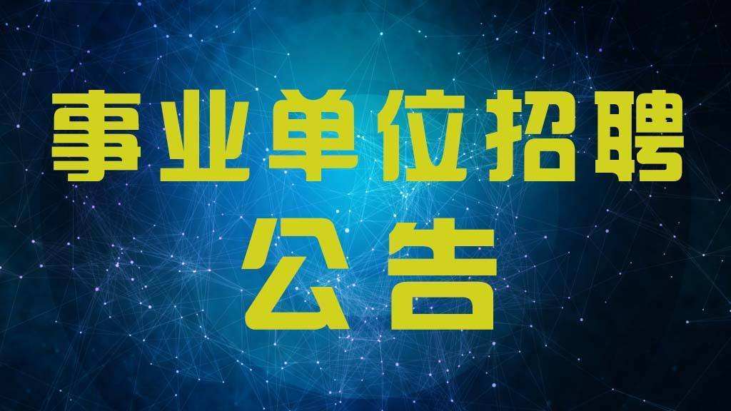 太和招聘网最新招聘动态深度解析与解读