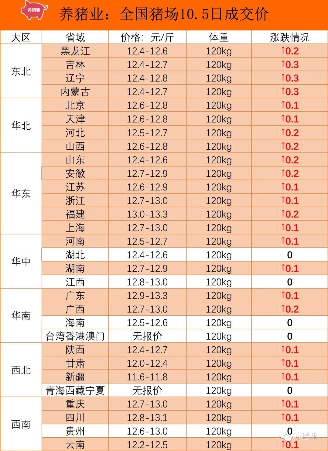 猪最新价格动态解析