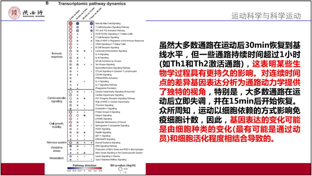 7777788888新澳门正版,效率资料解释定义_4K版85.448