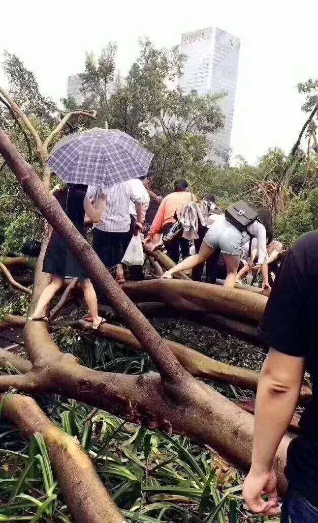 深圳遭遇台风袭击，影响及应对措施