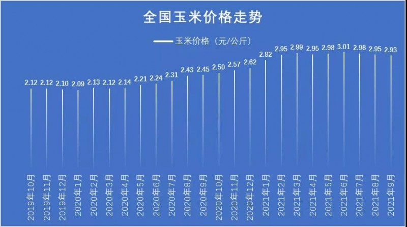 玉米价格最新行情走势解析