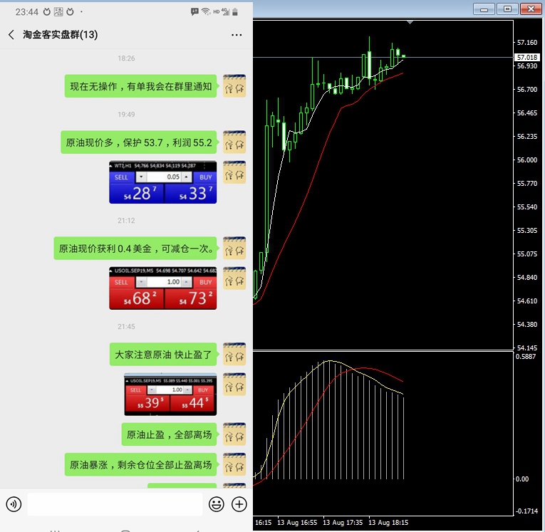 新奥今天晚上开什么,数据支持方案设计_运动版70.980