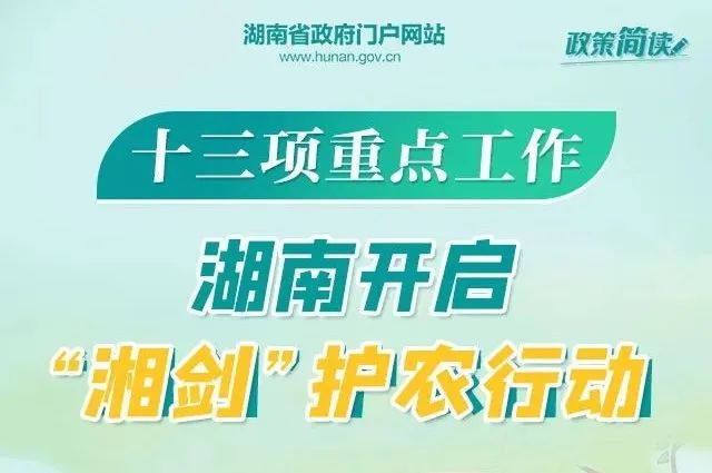 深圳东方亮彩最新招聘，探索职业发展，无限可能机会