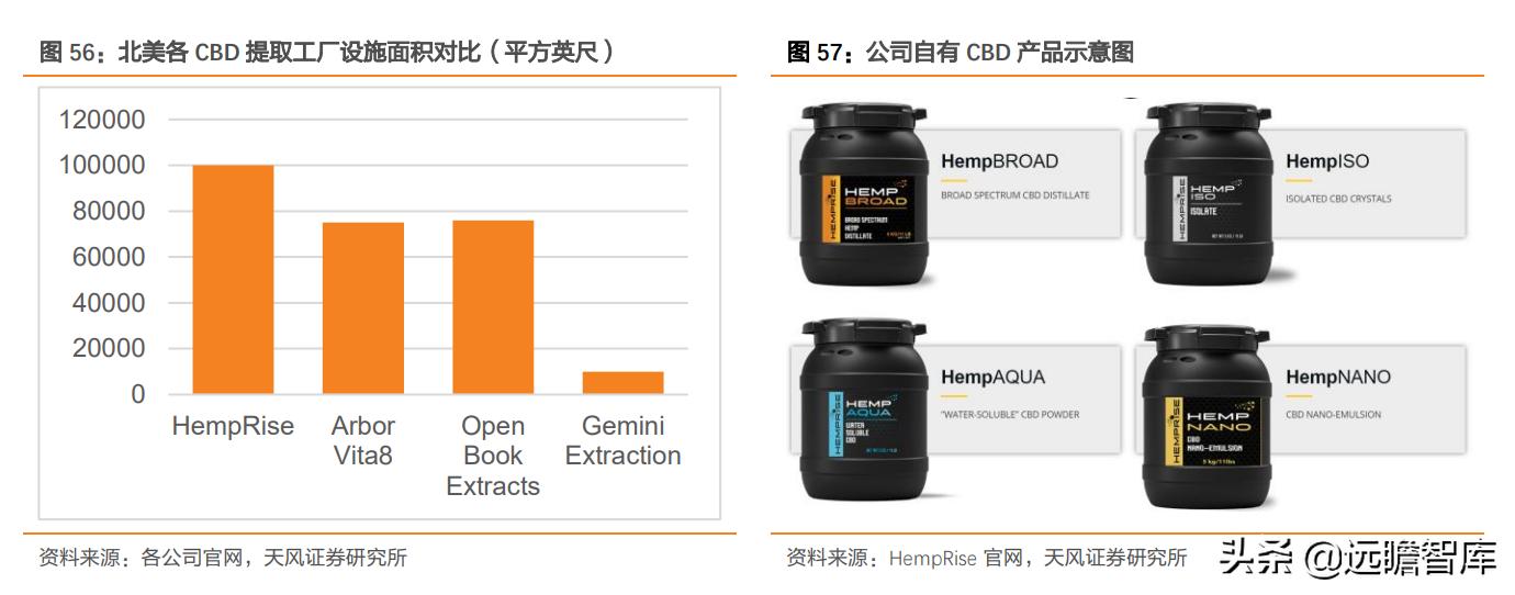 莱茵生物重组引领行业变革，最新消息重塑企业架构