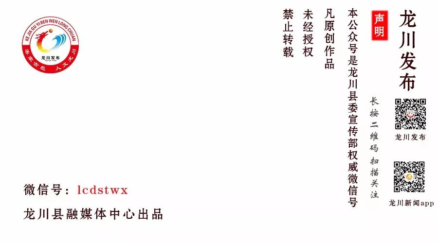 龙川在线最新招聘信息及其社会影响概览