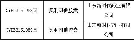 鲁南制药股权动态全面解析，最新股权结构调整深度探讨