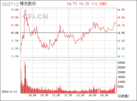 锦龙股份最新动态深度解析，000712最新消息一览