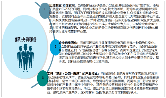 澳门六和合全年资料,平衡实施策略_Windows66.859