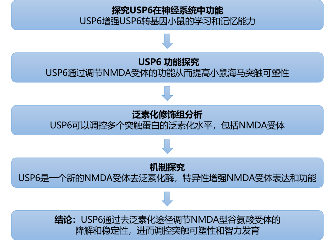 新奥最精准资料大全,高速响应策略_Essential81.433