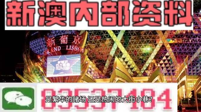 新澳门精准资料大全管家婆料,稳定设计解析方案_NE版59.941