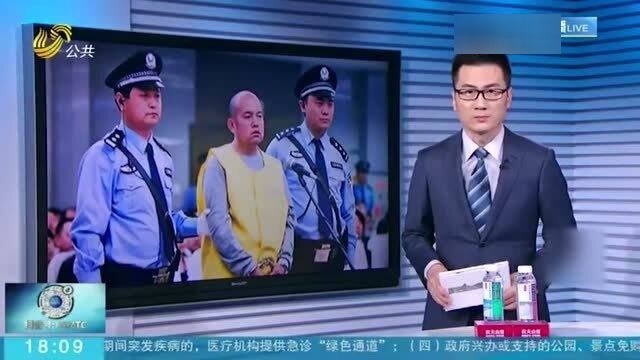 王书金案最新消息全面解读