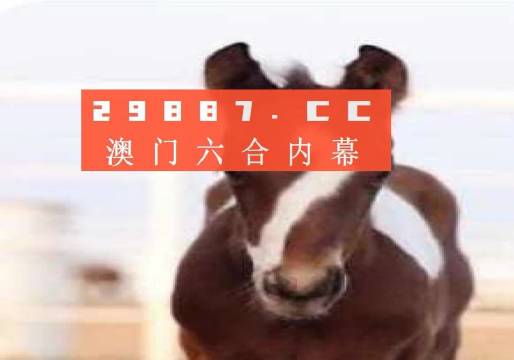 澳门一码一码100准确挂牌,适用计划解析_终极版49.699