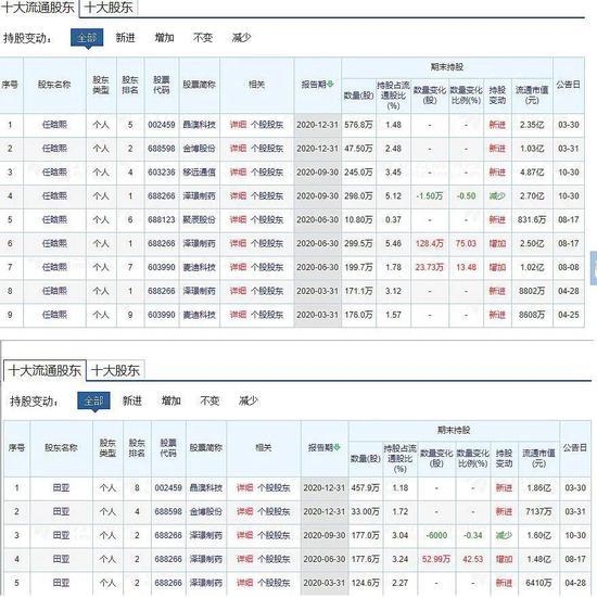 任向敏最新持股概览，深度探究、展望未来发展前景