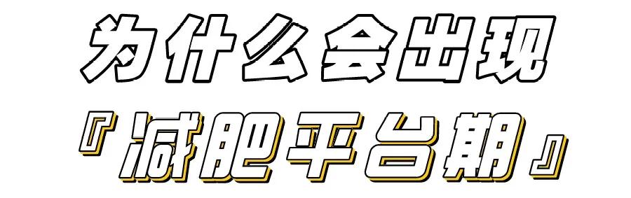 饥荒安卓版最新破解版与违法犯罪问题的探讨与探讨