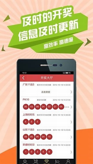 2024澳门天天开好彩大全app,专家意见解释定义_XE版48.779