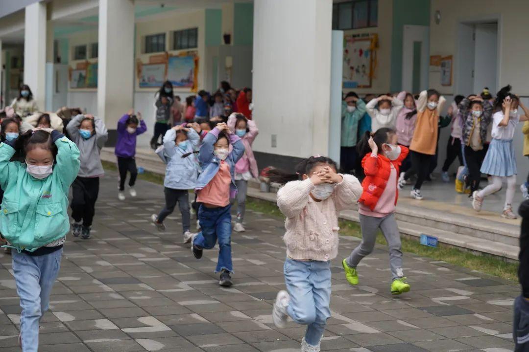 成都地震最新消息更新，今日地震动态速递