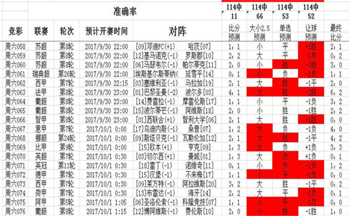 2024澳彩免费公开资料查询,精细化策略定义探讨_轻量版42.233