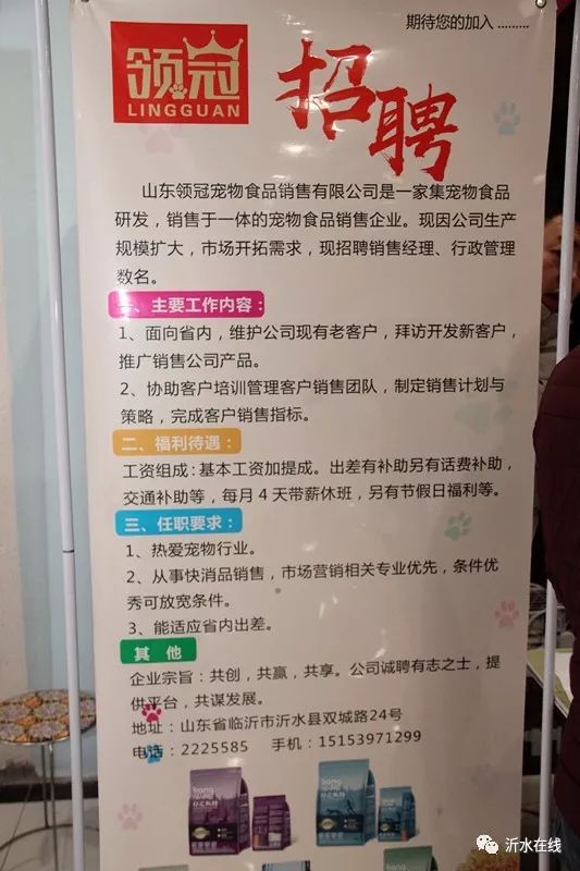 山东沂水最新招聘信息更新，共创美好未来，把握职业机会