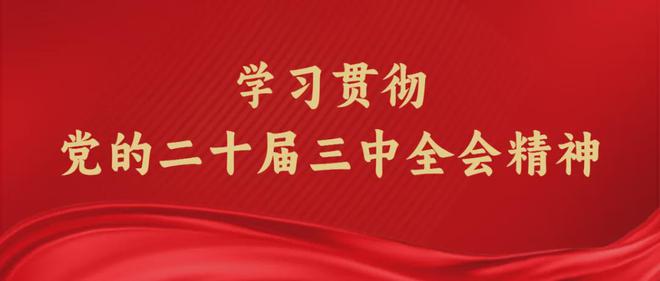 2024新澳门正版资料免费大全,福彩公益网,实时解答解释定义_精装款27.982