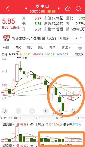 罗牛山股票最新消息深度解读与分析