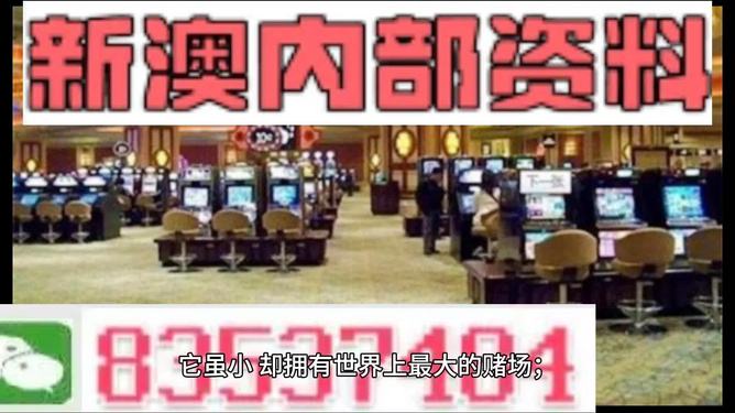 2024新澳精准资料免费提供,澳门内部,系统化推进策略研讨_入门版71.224