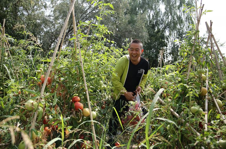 新澳免费资料大全,动态解释词汇_尊享款55.298