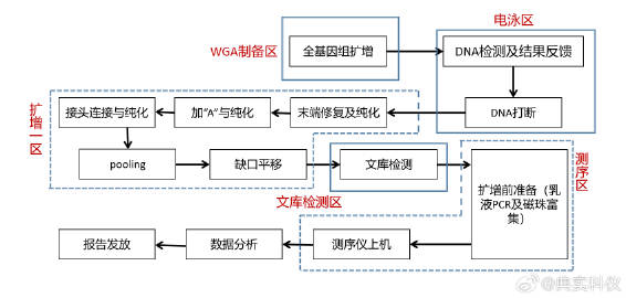 最准一肖一码100%免费,标准化流程评估_Linux37.11