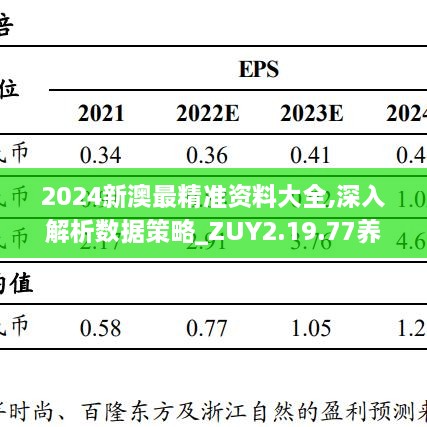 2024新澳最精准资料,数据支持执行策略_FT66.164