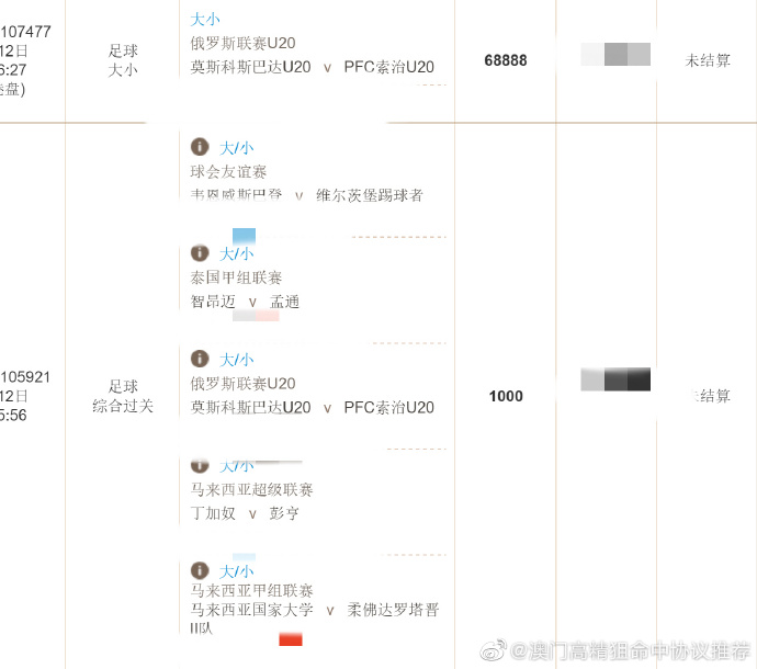 王中王精准资料期期中澳门高手,实地策略验证计划_HD11.657