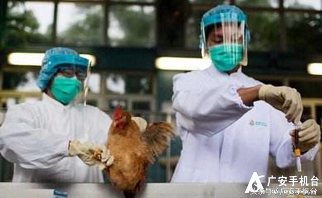 遂宁市H7N9疫情最新动态，全面防控，民众健康保障行动启动