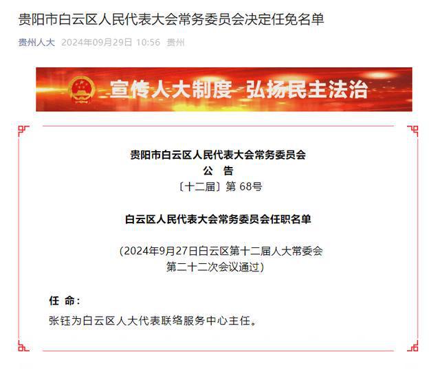 东兴区数据和政务服务局人事任命启动，政务数字化转型迈入新篇章