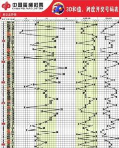 新澳门彩历史开奖结果走势图表,专业解析说明_Max95.724