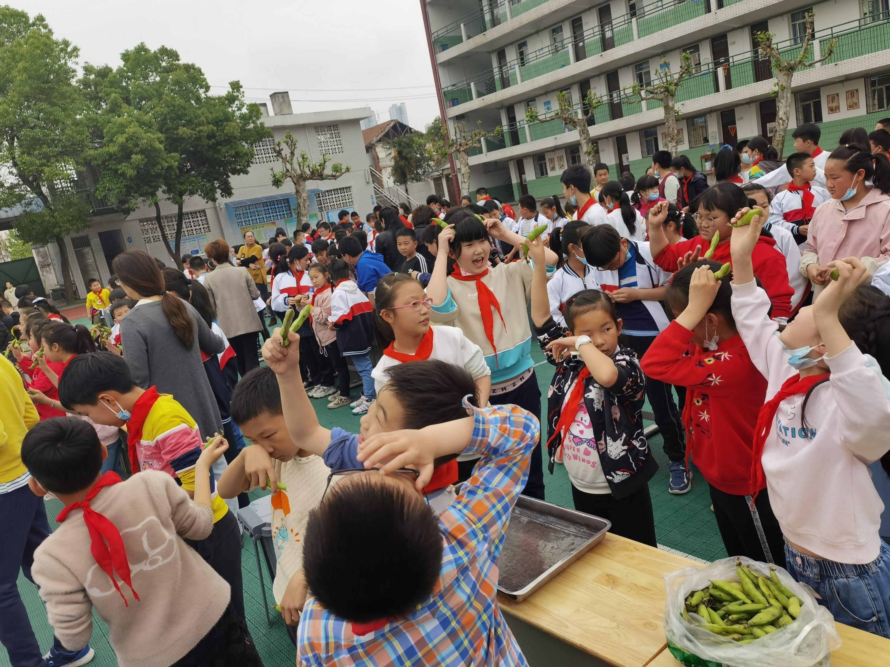 钢城区小学未来发展规划展望