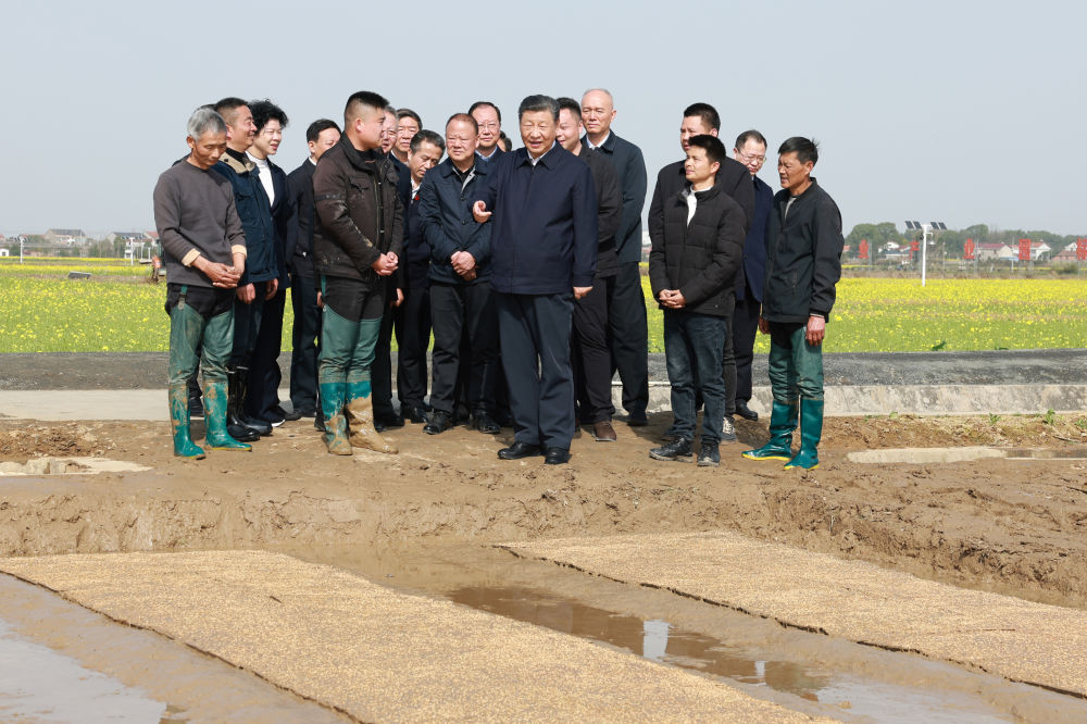 汪家坡村民委员会，现代化交通建设迈出坚实步伐的最新动态