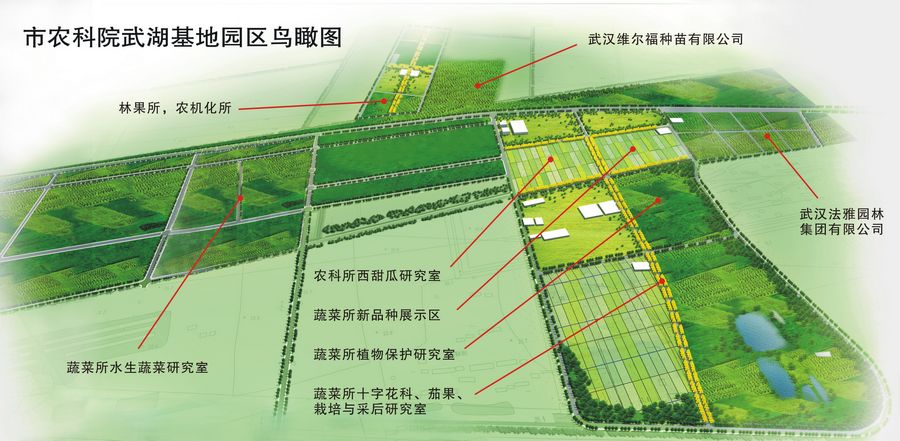 如皋市农科所发展规划引领农业现代化，乡村振兴再添新动力