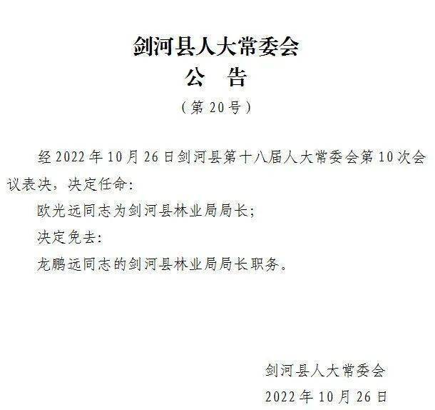 刘河乡最新人事任命，引领地方发展新力量崛起