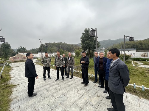 乐安县审计局深化审计职能，助推县域经济高质量发展项目新进展