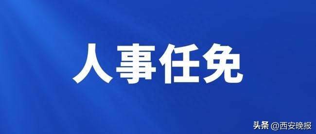 控角最新人事任命动态及其深远影响分析