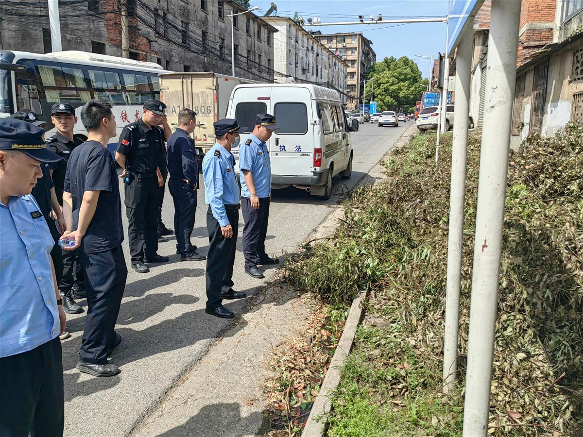 造纸街道交通状况持续改善，居民出行更加便捷——最新交通新闻标题