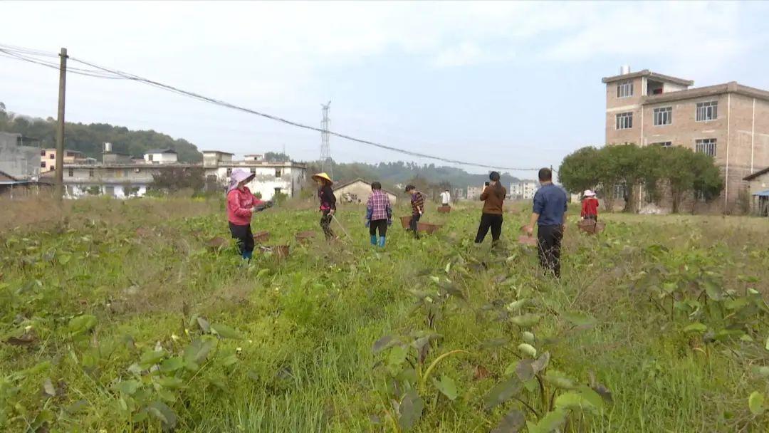 八步区计划生育委员会招聘信息与动态更新