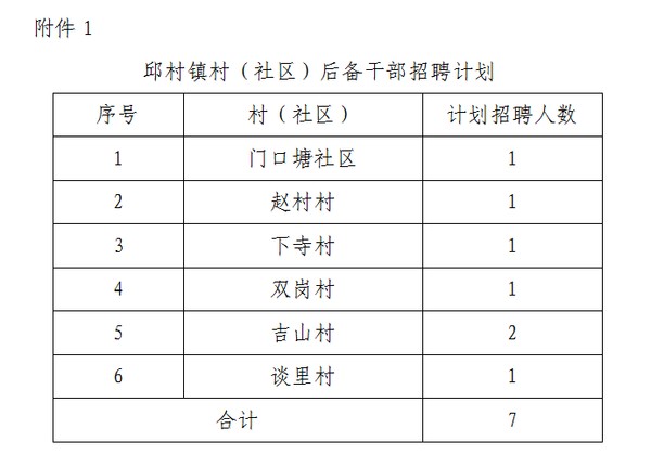 丁韩村委会最新招聘信息公示