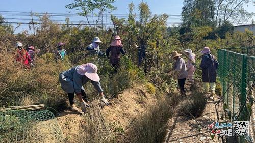 蛟塘镇最新动态报道