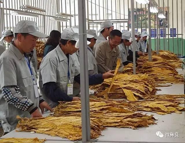 彝良县住房和城乡建设局最新发展规划概览