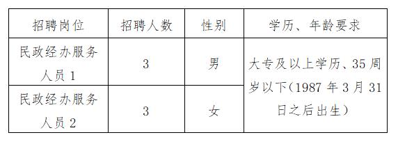 县民政局最新招聘信息详解，职位、要求与待遇一网打尽